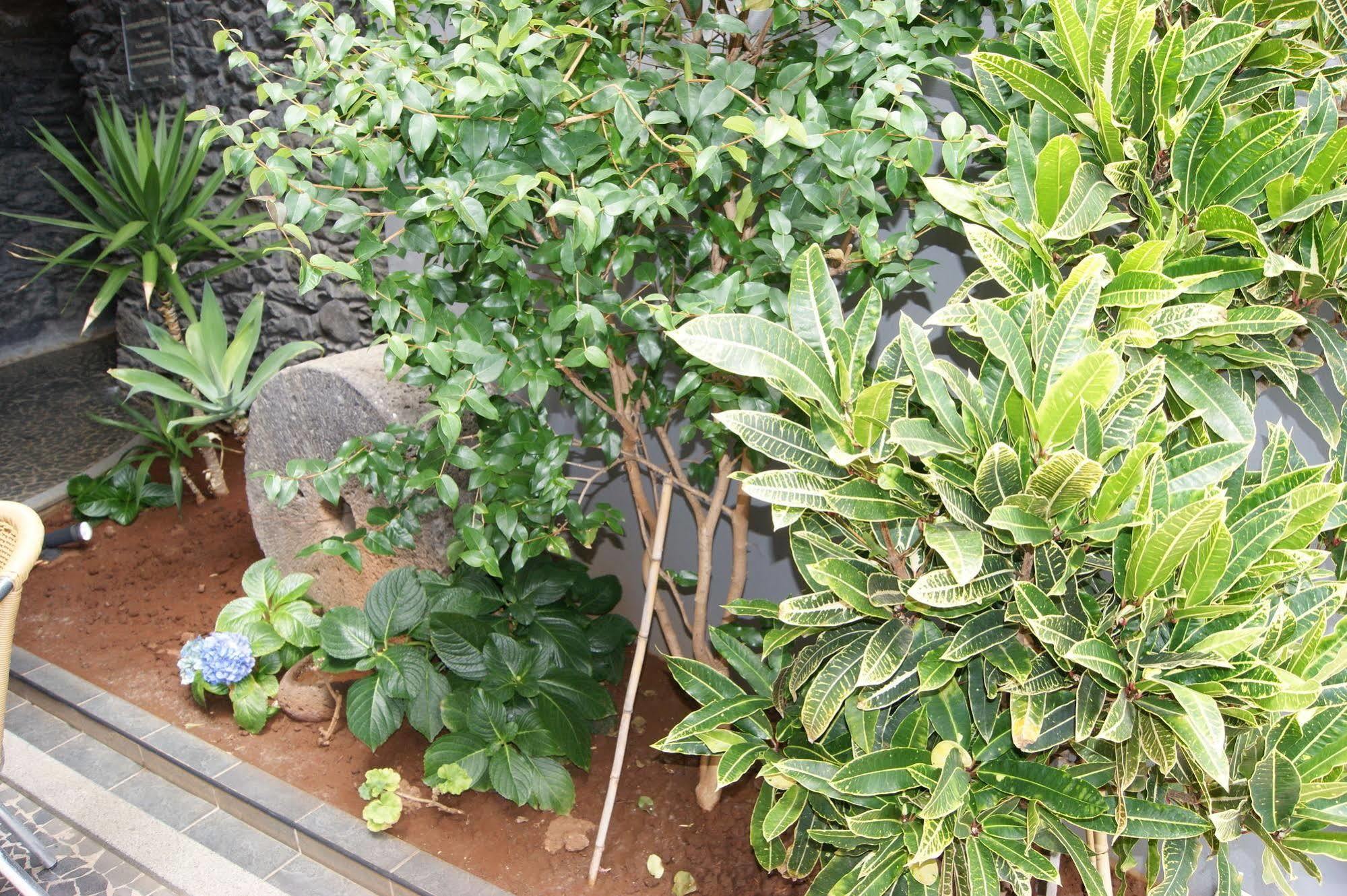 פורטו דה קרוז Hotel Costa Linda מראה חיצוני תמונה